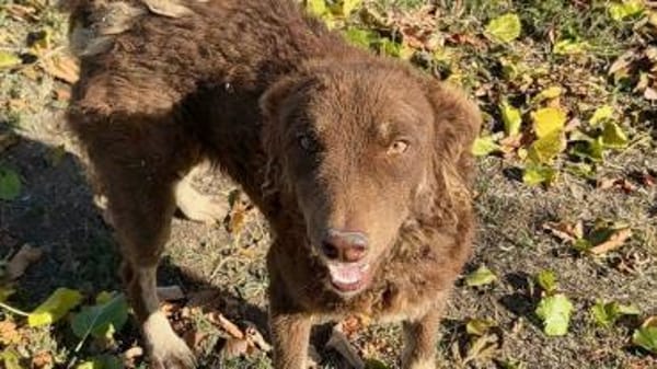 Menschenbezogene Beanie sucht dich