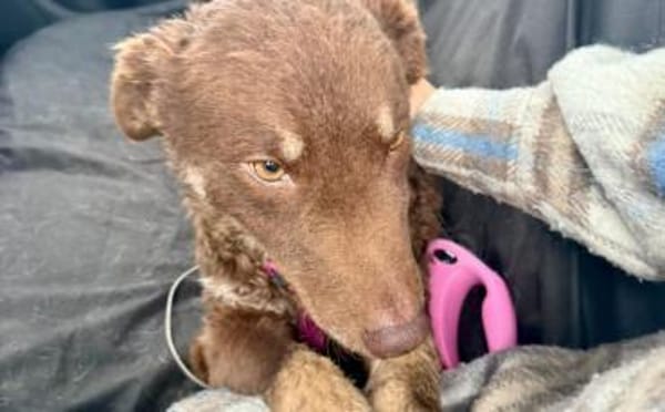 Menschenbezogene Beanie sucht dich