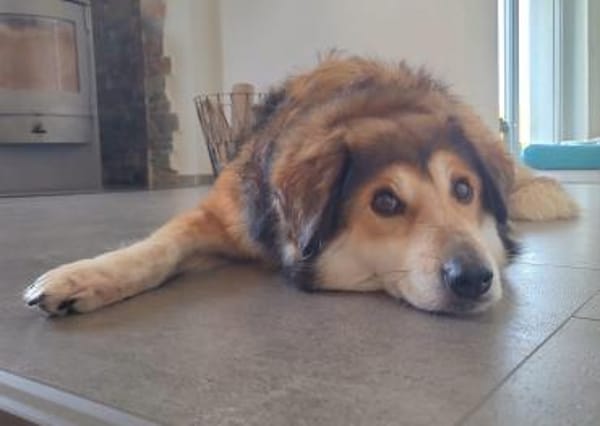 NARIN * Charmant & sanft