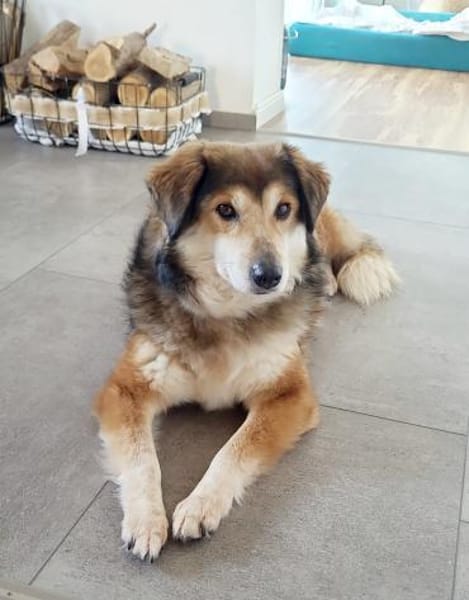 NARIN * Charmant & sanft