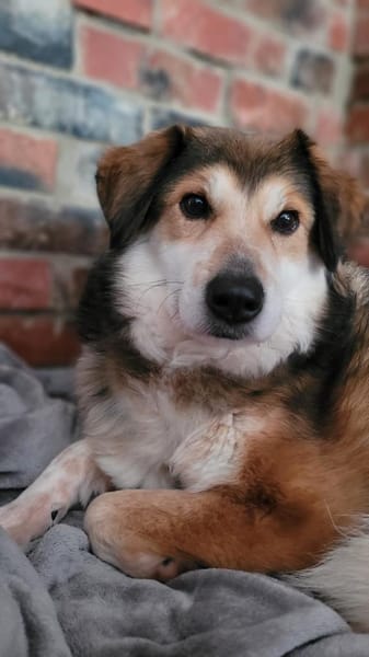 NARIN * Charmant & sanft