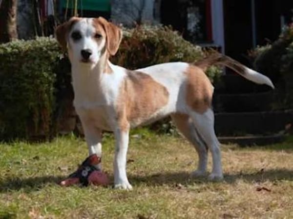 MARTINA - ab Februar auf PS in Berlin