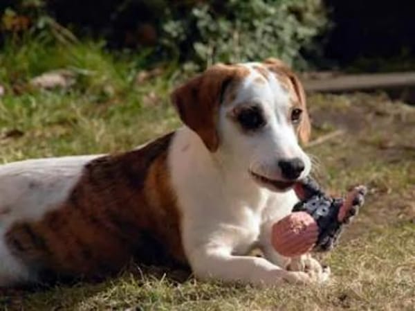 MARTINA - ab Februar auf PS in Berlin