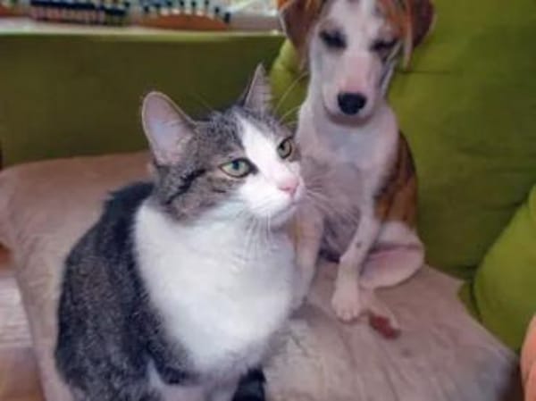 MARTINA - ab Februar auf PS in Berlin