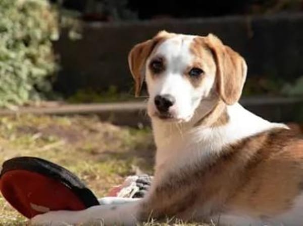 MARTINA - ab Februar auf PS in Berlin