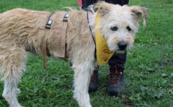 Senior Erwin sucht warmes Plätzchen