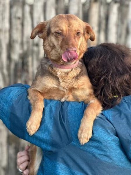 Nadine 8/24 W sucht ihr Zuhause