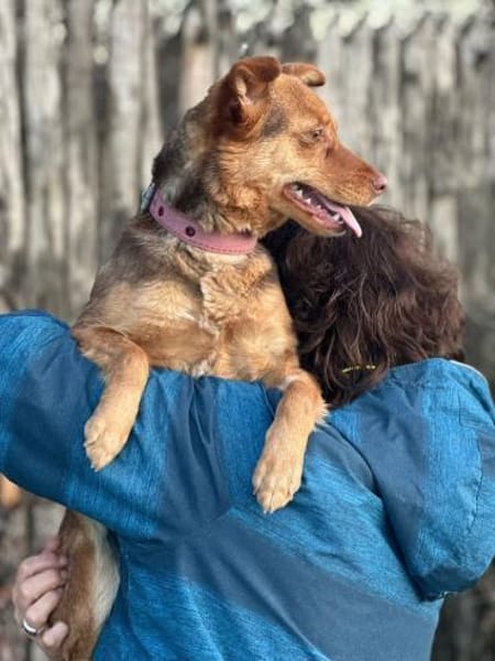 Nadine 8/24 W sucht ihr Zuhause