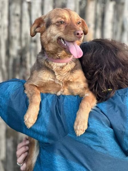 Nadine 8/24 W sucht ihr Zuhause