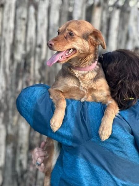 Nadine 8/24 W sucht ihr Zuhause