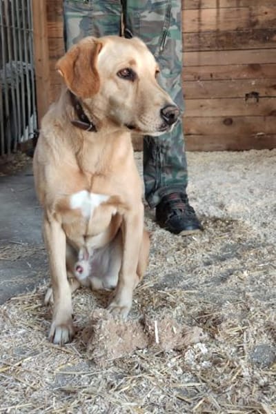 Charlie- wer nimmt sich Zeit für mich?