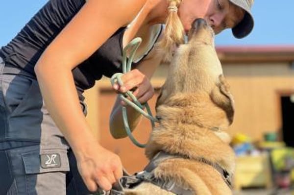 Lucky-Klarer Typ sucht klare Menschen