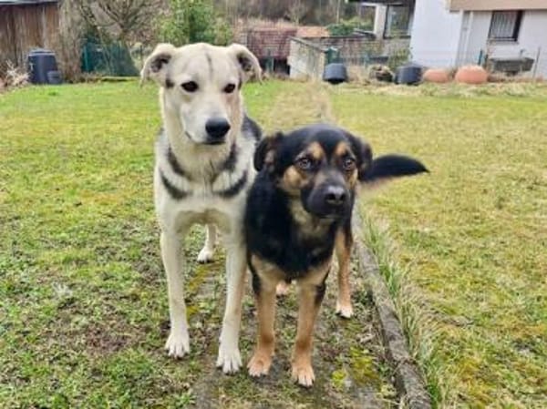 Bonito freut sich auf sein neues Leben