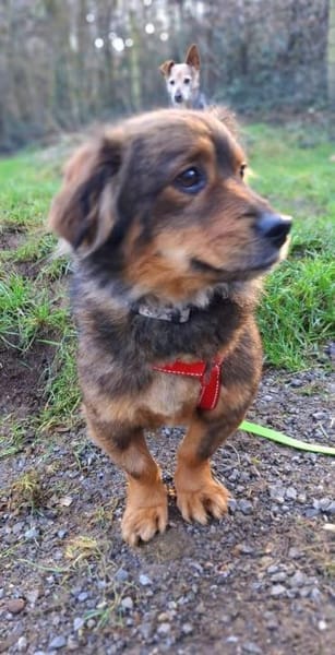 Nelly möchte endlich ankommen - bei dir?