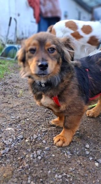 Nelly möchte endlich ankommen - bei dir?