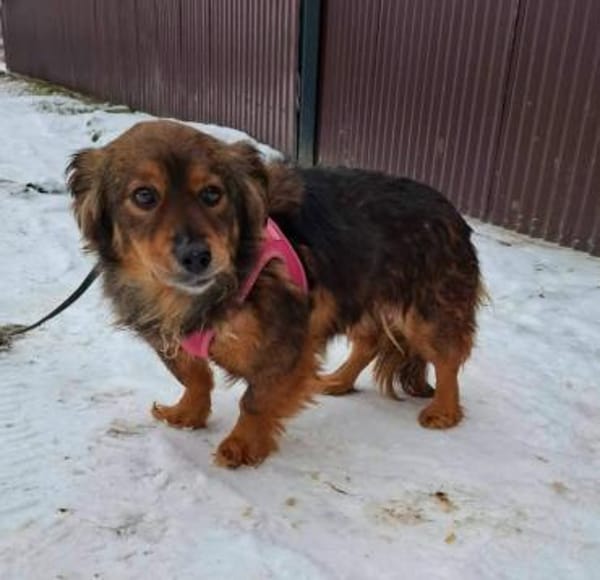 Nelly möchte endlich ankommen - bei dir?