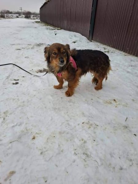 Nelly möchte endlich ankommen - bei dir?