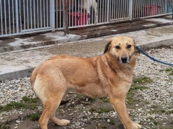 Kiyuga - menschenbezogen u. kinderlieb