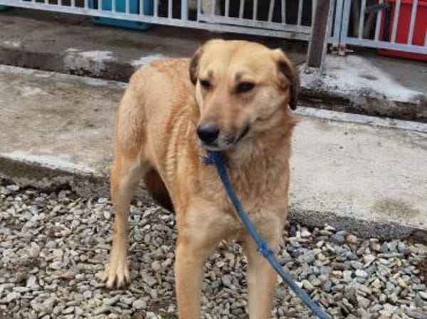 Kiyuga - menschenbezogen u. kinderlieb