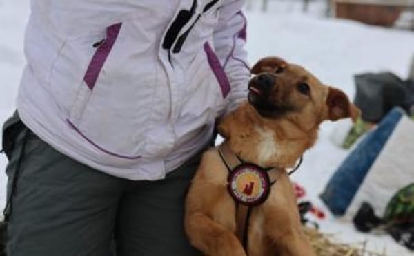 Zuhause gesucht für Tiana