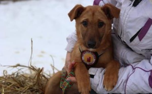 Zuhause gesucht für Tiana