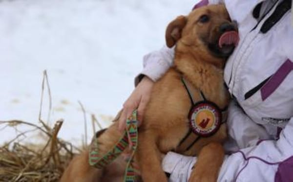 Zuhause gesucht für Tiana