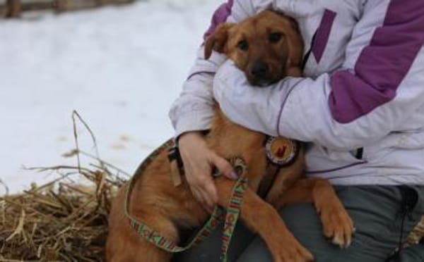 Zuhause gesucht für Tiana