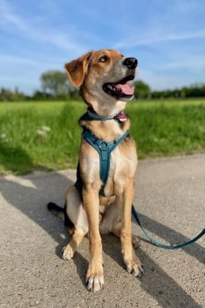 Lemmy sucht Menschen, die ihn verstehen