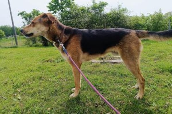 Lemmy sucht Menschen, die ihn verstehen