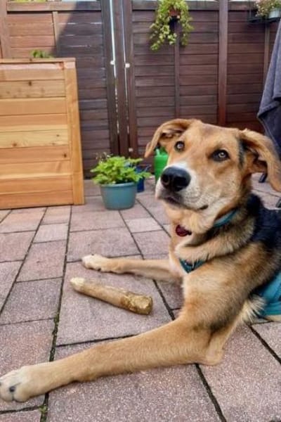 Lemmy sucht Menschen, die ihn verstehen