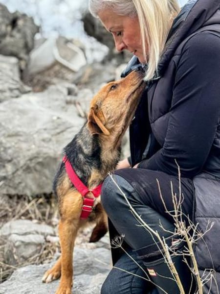 Elara- Fröhliche Hündin sucht Zuhause