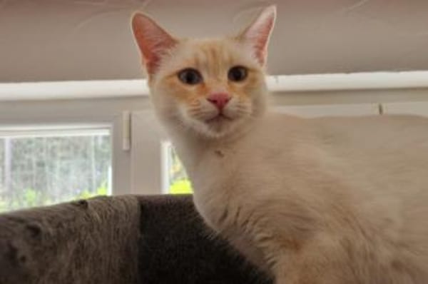 Amaya & Flöckchen...