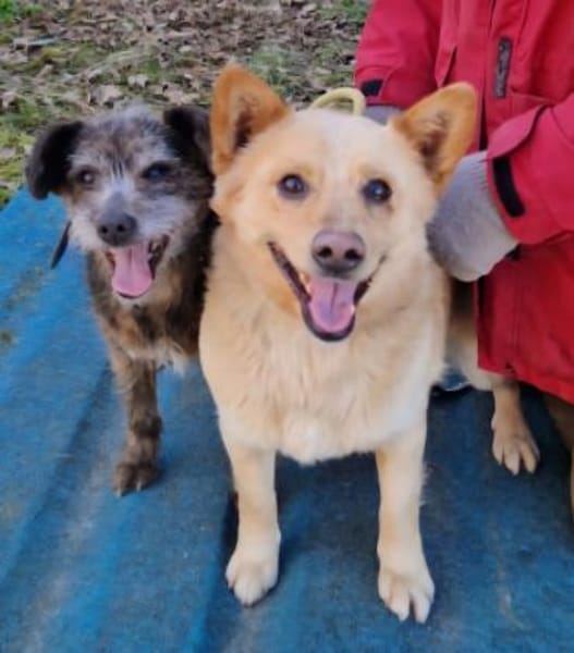 Uschi und Jack - Unzertrennlich