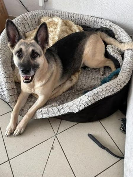 Eavy wurde verraten und verlassen