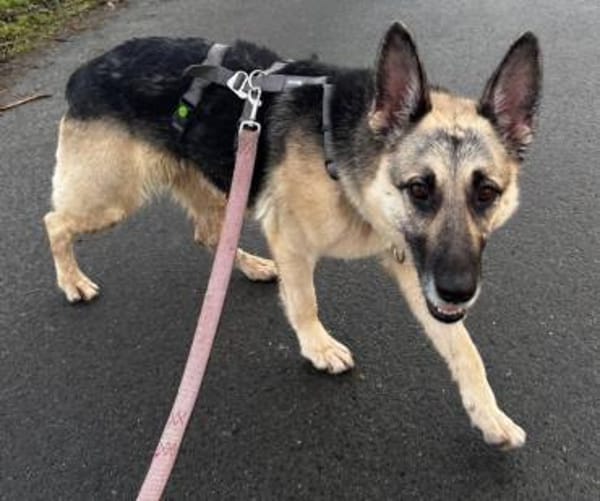 Eavy wurde verraten und verlassen