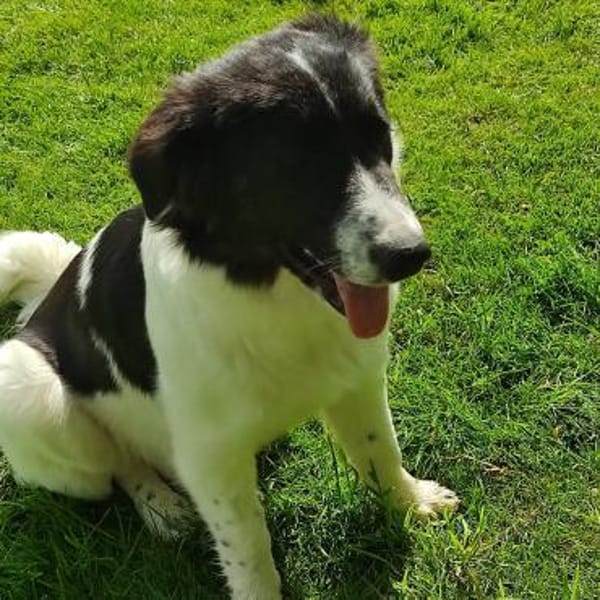 Stark und sensibel- Lucia