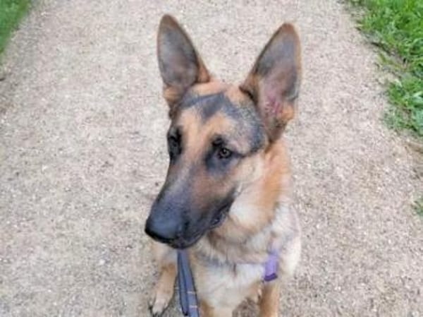 Bandito - ein Rohdiamant