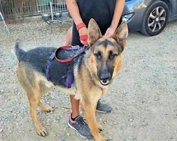 Bandito - ein Rohdiamant