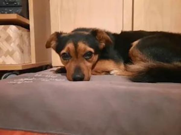 TIERRA - ab Februar auf PS in Duisburg