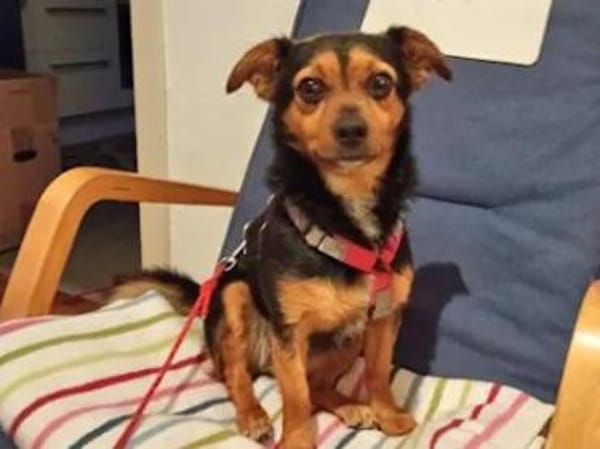 TIERRA - ab Februar auf PS in Duisburg