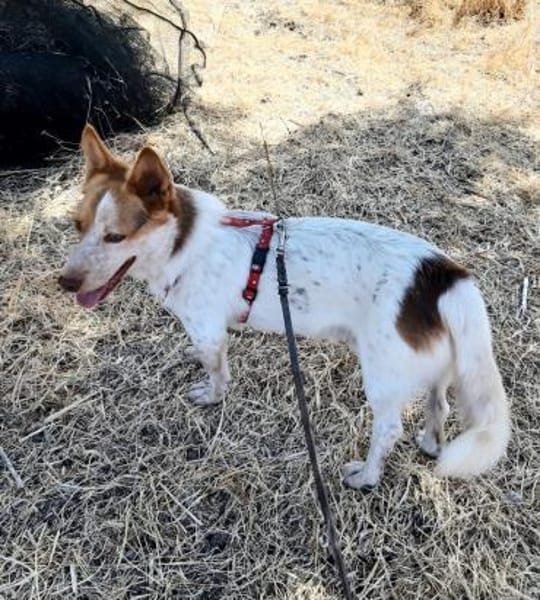 Winnie selbstbewusst und verschmußt