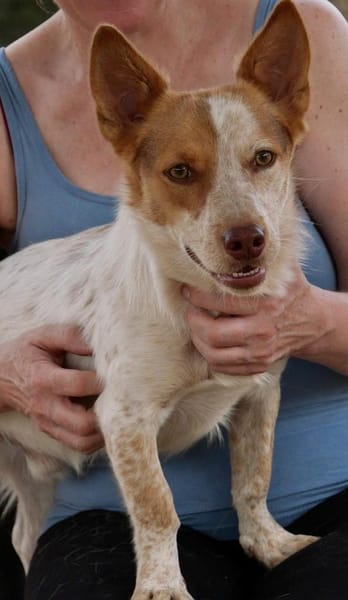 Winnie selbstbewusst und verschmußt