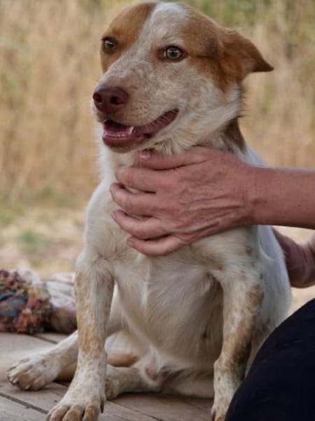 Winnie selbstbewusst und verschmußt