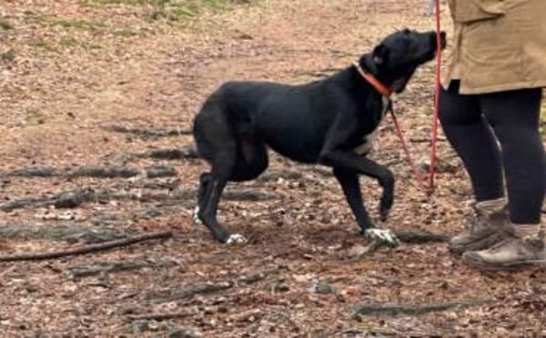 Laba möchte mit dir die Welt entdecken