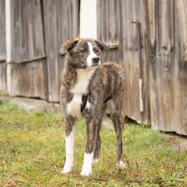 LLUNA -liebenswert & verspielt-