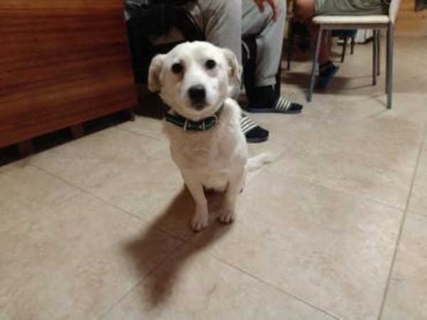 LUKI will bei dir Platz nehmen