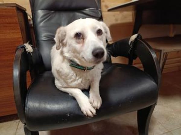 LUKI will bei dir Platz nehmen