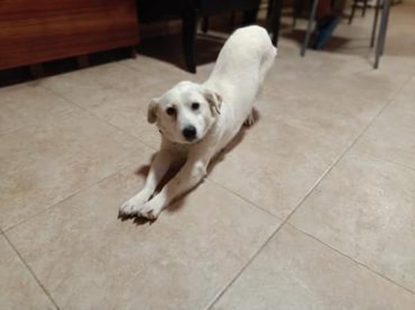 LUKI will bei dir Platz nehmen