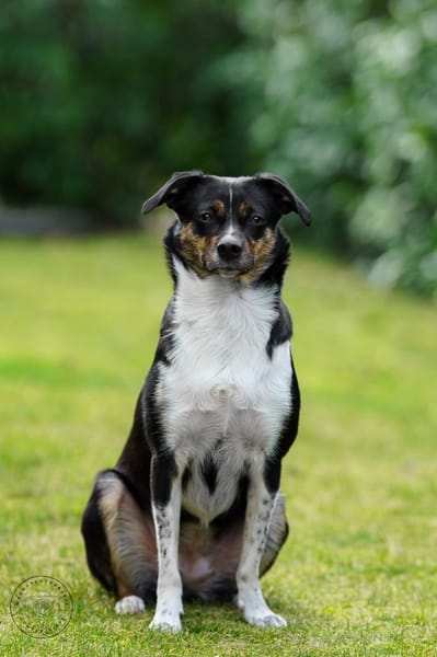 Glenni - Die Aufgeweckte