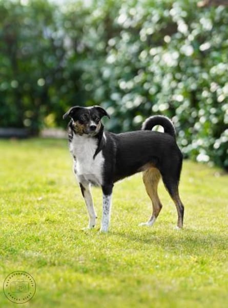 Glenni - Die Aufgeweckte